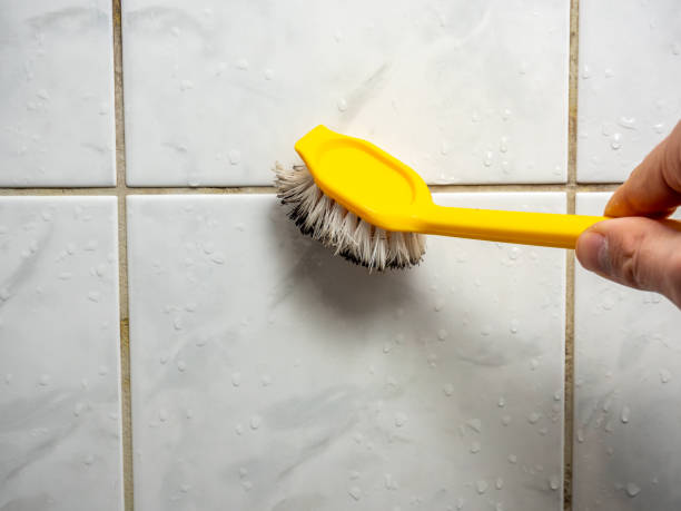 Best Home Mold Removal  in Elkhorn City, KY