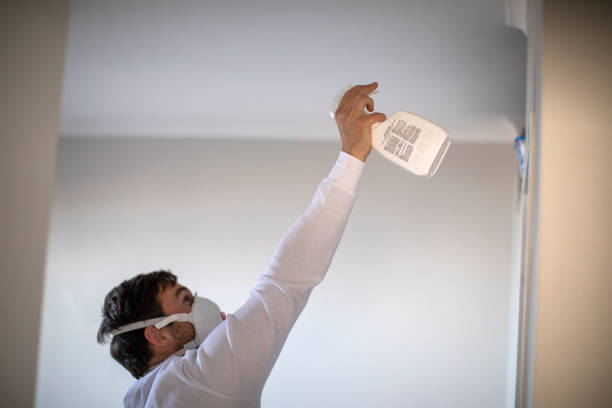 Best Mold Testing  in Elkhorn City, KY