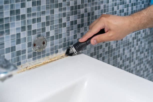 Best Toxic Mold Removal  in Elkhorn City, KY