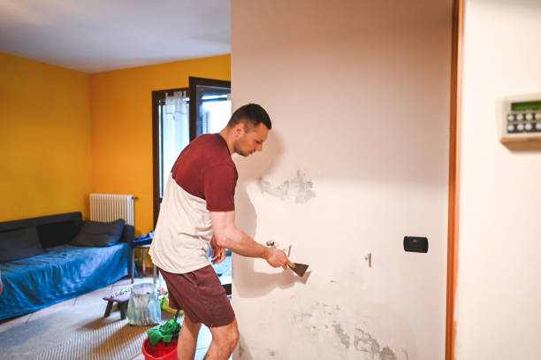 Best Mold Removal Company Near Me  in Elkhorn City, KY
